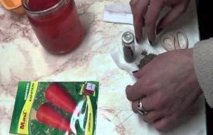 Основните правила на нарастващите здрави разсад (разсад) Основните правила на нарастващите здрави разсад