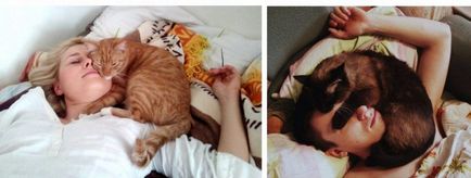 Защо котките спят в краката, което означава, че, защо котките обичат да отидете на легло в основната част на крака