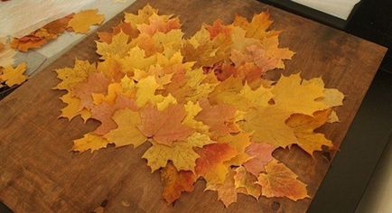 Изделия от листа на есента с ръцете си инструкции за деца със снимки и видео