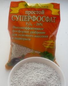 Торене ябълка - Схема за прилагане на торове, отколкото да се хранят ябълката (вземане) Торене ябълка - Схема за прилагане на торове, отколкото да се хранят ябълката