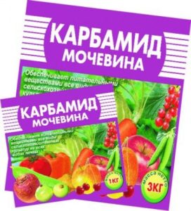 Торене ябълка - схема прилагане на торове, отколкото да се хранят ябълката (отгоре превръзка) Торене ябълка - Схема за прилагане на торове, отколкото да се хранят ябълката