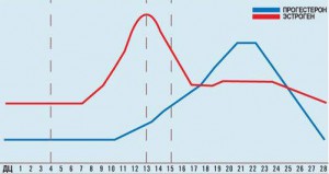 Повишена хипертонични миометриума по време на бременността на задната стена