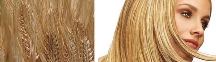 Пшеница цвят на косата е някой, как да си изберете, цветове за преглед, снимки на различни нюанси