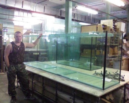 Ремонт на резервоари със собствените си ръце у дома, аквариумни рибки