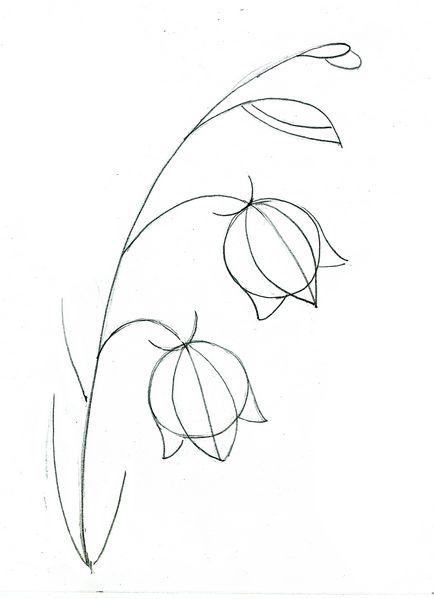Начертайте цвете - звънец постепенно цветни моливи Stabilo carbothello