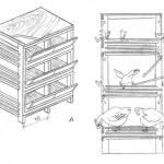 Пътеводител за производство на клетки за бройлери с техните ръце рисунки и снимки
