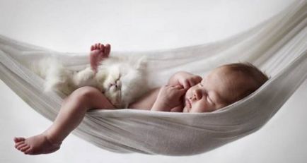 Спящата в краката на котката - гаранция за здраве
