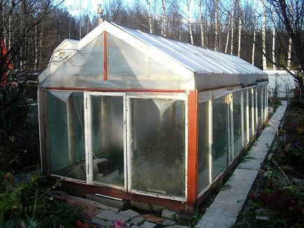 Greenhouse на рамката на прозореца с негово ръководство ръце