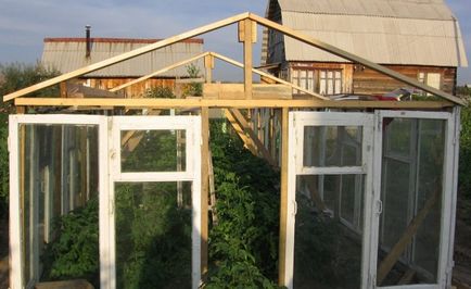 Greenhouse на рамката на прозореца с негово ръководство ръце