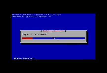 Инсталиране XenServer 7, losst