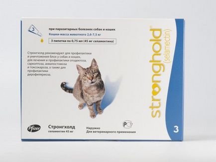 Въшките при котки - лечение, симптоми и как да се кове при котките