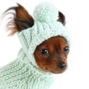 Плетени дрехи за кучета със собствените си ръце (или плетене на една кука  на крайниците), размер