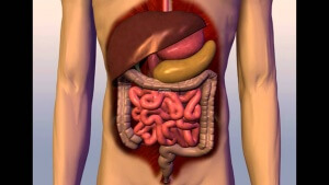 Заболявания на симптомите на храносмилателния тракт на различни патологии на храносмилателната система на човека