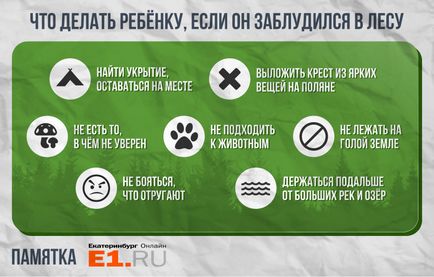 10 елементарните права на детето, какво да направя, ако той се изгуби в гората