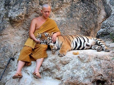 25 неща, които абсолютно трябва да правим в живота (това е необходимо) 25 неща, които абсолютно трябва да правим в живота