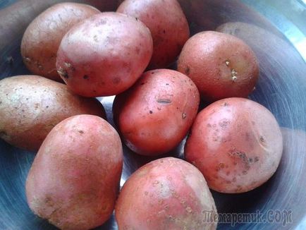 9 Тайните вкусни пържени картофи