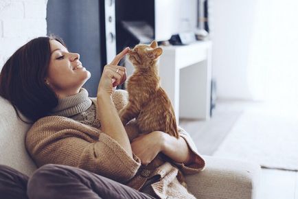 Знаете ли как да се справят с алергия към котки
