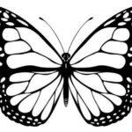 Квилинг пеперуда верига и майсторски клас за nachinayuyih (снимка)