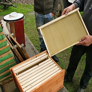 Бързо и висококачествено производство на рамки за пчелни кошери с ръцете си видео, инструкции стъпка по стъпка,
