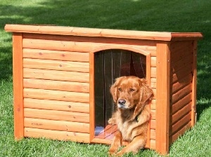 Къщи за кучета със собствените си ръце, чертежи и размери на кучешка колиба на проекта от дърво