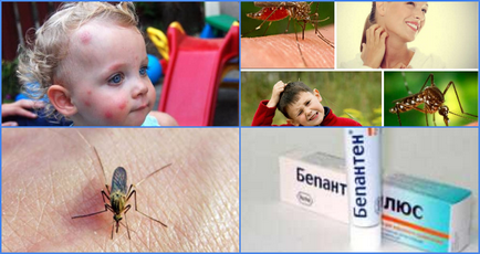 Какво трябва да помаже ухапване от комар дете