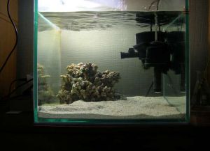 Това, което е необходимо за един аквариум с риби