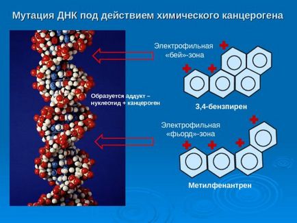 Какви са канцерогени и тяхното въздействие върху организма (фактори на околната среда) Какви са канцерогени и тяхното въздействие върху организма