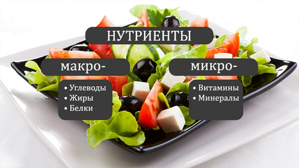 Какви са хранителни вещества, които са полезни хранителни вещества, отколкото хранителни вещества (полезни) Какви са хранителни вещества, които са полезни хранителни вещества, отколкото хранителни вещества