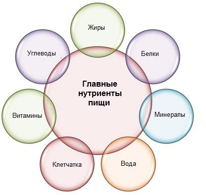 Какви са хранителни вещества, които са полезни хранителни вещества, отколкото хранителни вещества (полезни) Какви са хранителни вещества, които са полезни хранителни вещества, отколкото хранителни вещества