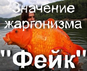 Какво искаш да кажеш фалшив VKontakte страница, което означава, че е фалшив фалшив
