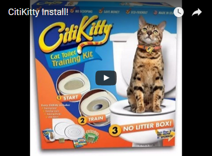Citikitty - настроен да привикнат котката до тоалетната от 600 рубли