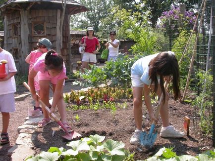 Детска площадка със собствените си ръце