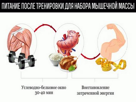 До каква възраст растат мускулите при мъжете, така и жените