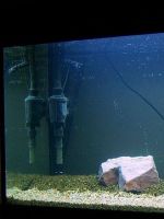 Филтър за аквариум със собствените си ръце