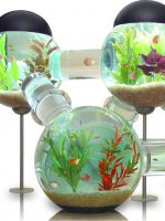 Филтър за аквариум със собствените си ръце