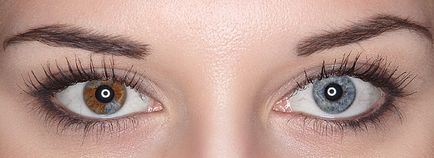 Хетерохромия - различно оцветени очи