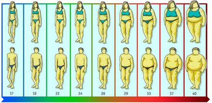 Индексът на телесната маса, изчислена за мъже и жени (таблица)