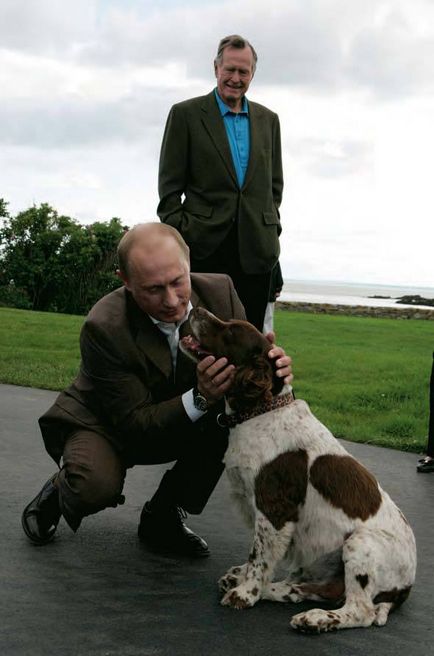 Какво порода куче на Путин снимка и описание