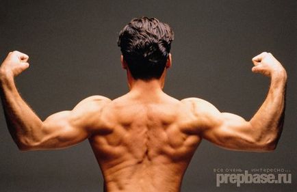 Как бързо изграждане на мускули без стероиди в къщи