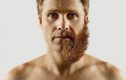 Как да се обръсне брадата си подготовка, тайни (снимки, видео)