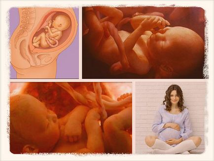 Като диша бебето в утробата, животът е в детайлите