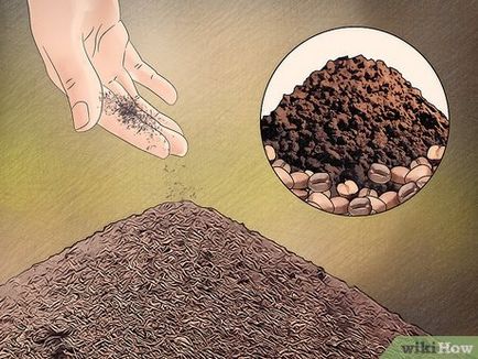 Как да се отървем от мравки, използвайки естествени средства