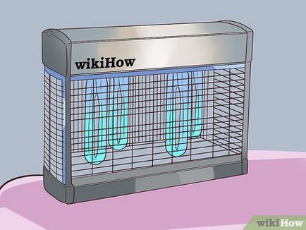 Как да се отървем от мухи в къщата