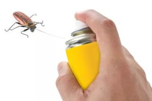 Как да се отървете от хлебарки в апартамент завинаги домашни видове хлебарки, описание, ревюта