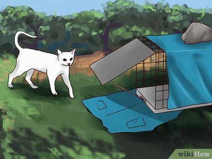 Как да хванеш котки