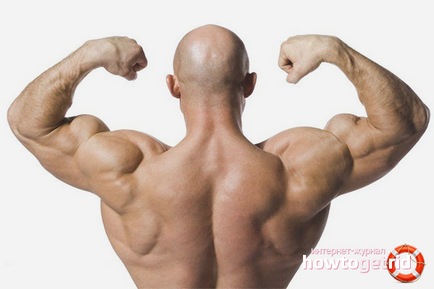 Как да се изгради задните мускули у дома