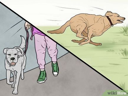 Как да накаже кучето