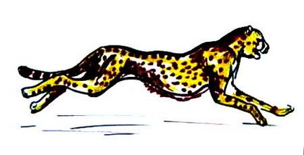 Как да се направи леопард