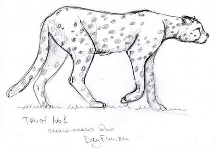 Как да се направи леопард молив етапа - уроци по рисуване - полезни за artsphera