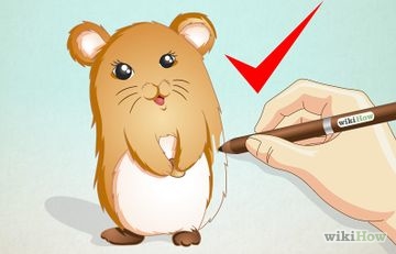Как да се направи кит (равенство) Как да се направи кит